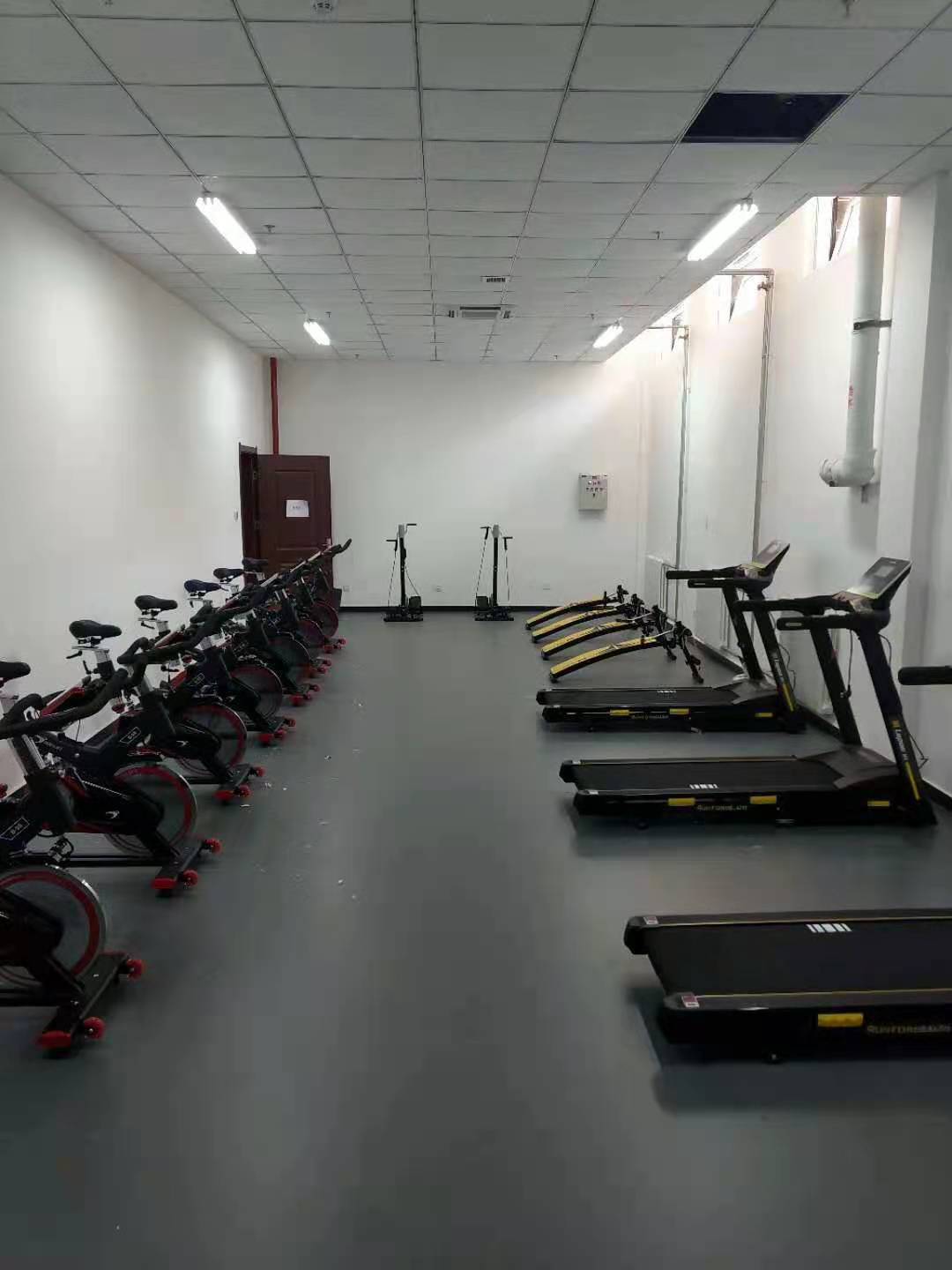 跑步機(jī)動(dòng)感單車 跑步機(jī)動(dòng)感單車