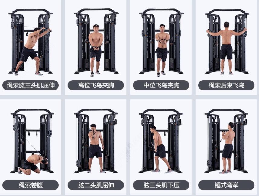 小飛鳥(niǎo)訓(xùn)練方法