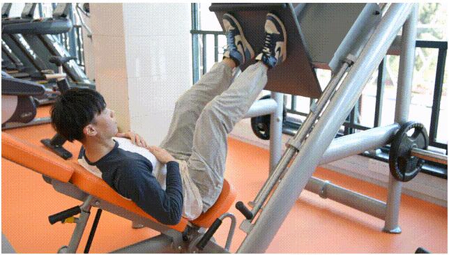 倒蹬機(jī) 倒蹬機(jī)